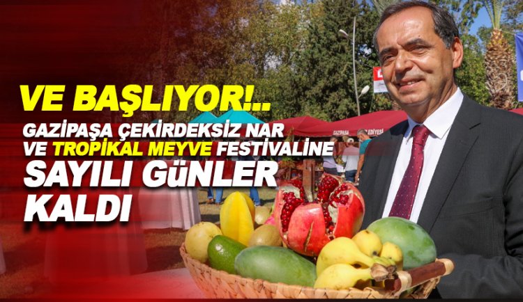 Gazipaşa'da Çekirdeksiz Nar ve Tropikal Meyve Festivali için geri sayım başladı