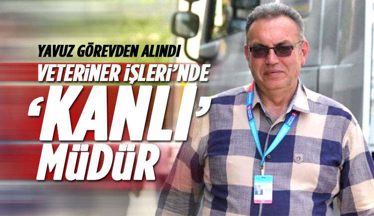 Alanya'da Hayvanserverleri Sevindiren Atama: Saim Kanlı Yeni Müdür oldu