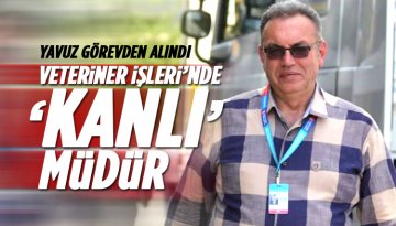 Alanya'da Hayvanserverleri Sevindiren Atama: Saim Kanlı Yeni Müdür oldu