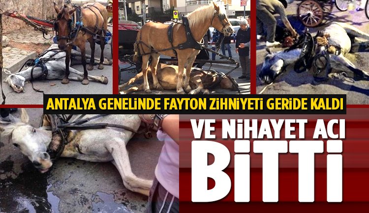 Antalya, Alanya ve Manavgat'ta Fayton Dönemi Bitiyor