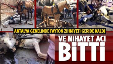 Antalya, Alanya ve Manavgat'ta Fayton Dönemi Bitiyor