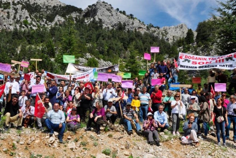 Antalya'da binlerce sedir ağacını katledip 'talan' için geldiler