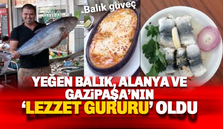 Yeğen Balık Evi, Alanya ve Gazipaşa'nın 'lezzet gururu' oldu