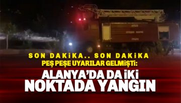 Manavgat'ın ardından Alanya'da iki noktada yangın