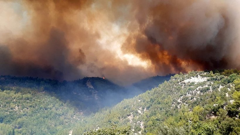 Gün ağardı içimiz daha da yandı: İşte Manavgat'ta son durum