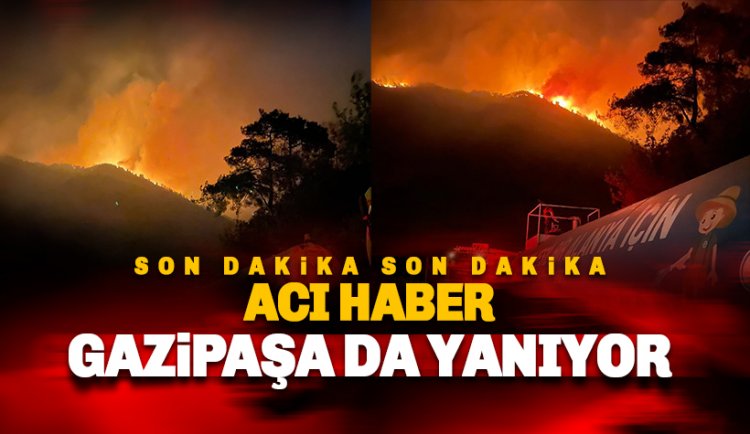Gazipaşa'da 4 farklı noktada yangın