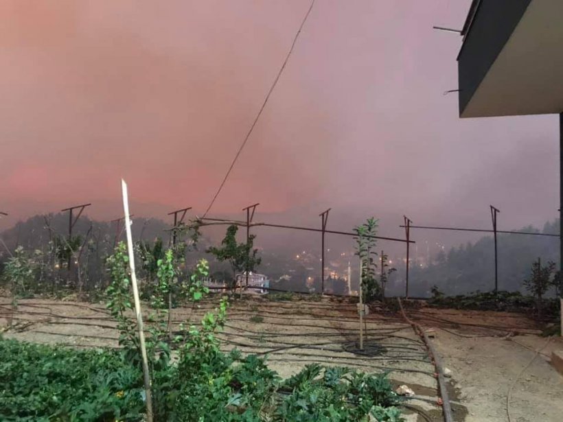 Maalesef Yangın Alanya sıçradı: Güzelbağ'da evler tahliye ediliyor