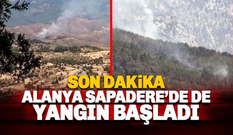 Son dakika: Sapadere de yangın ve ani müdahale