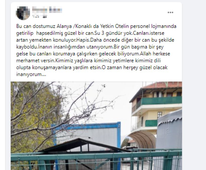 Konaklı'da tutsak edilen bir can: Bu Canı Kurtarın!