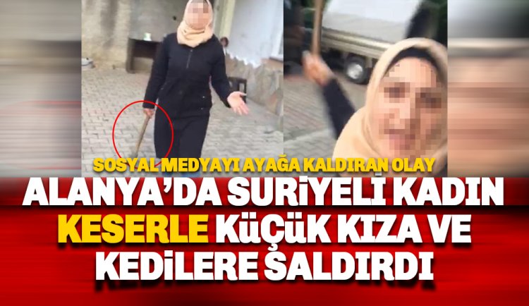 Suriyeli kadın keserle kedilere ve genç kıza saldırdı