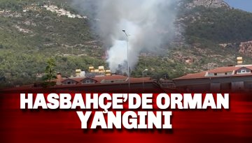 Son dakika: Hasbahçe'de yangın