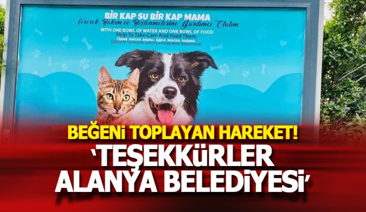 Alanya Belediyesi'ne 'Sahipsiz canlar için farkındalık' teşekkürü