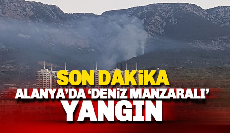 Alanya'da Denize nazır makilik alanda yangın