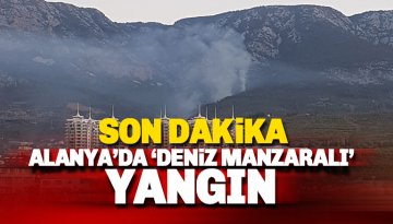 Alanya'da Denize nazır makilik alanda yangın