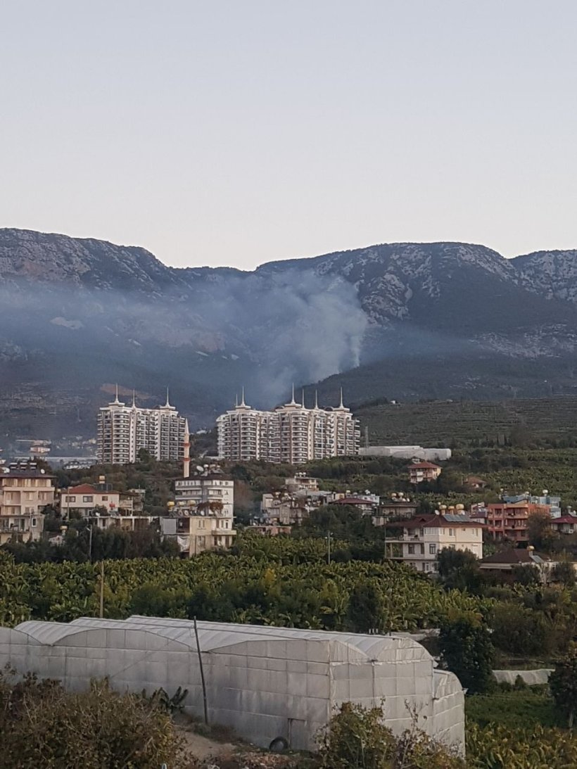 Alanya'da Denize nazır makilik alanda yangın