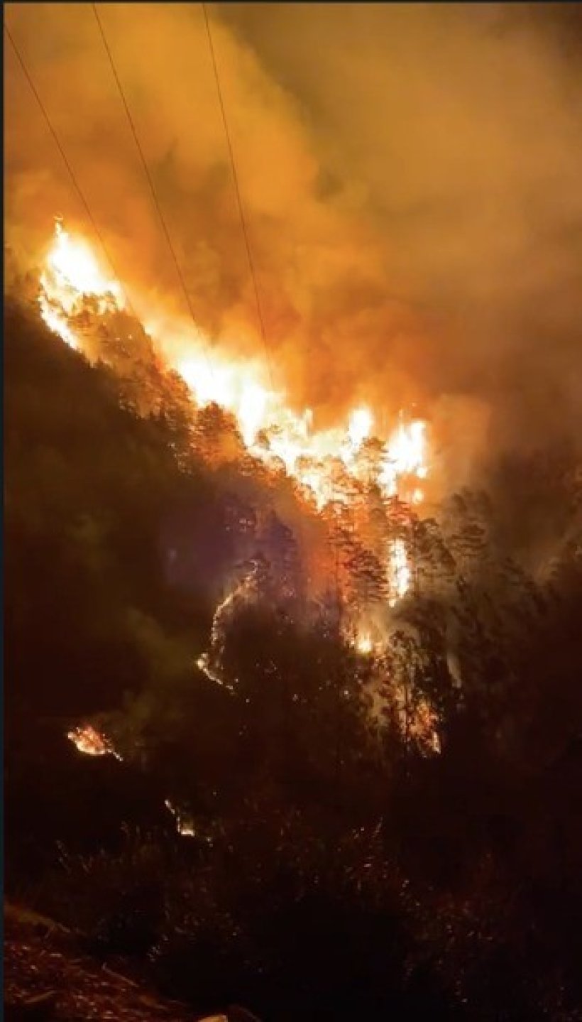 Son dakika: Alanya'da Orman yangını