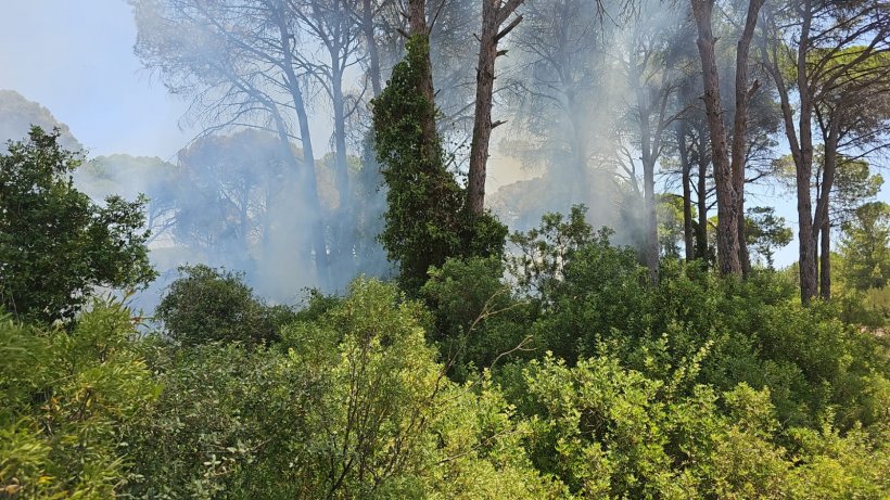 Tepe Mahallesi'ndeki yangına rekor sürede müdahale