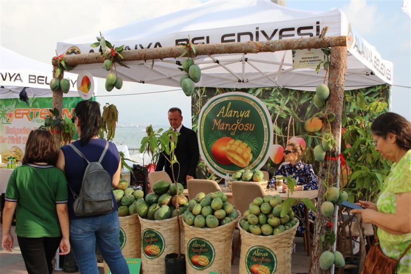 Alanya'nın 'En Lezzetli' festivaline sayılı günler kaldı