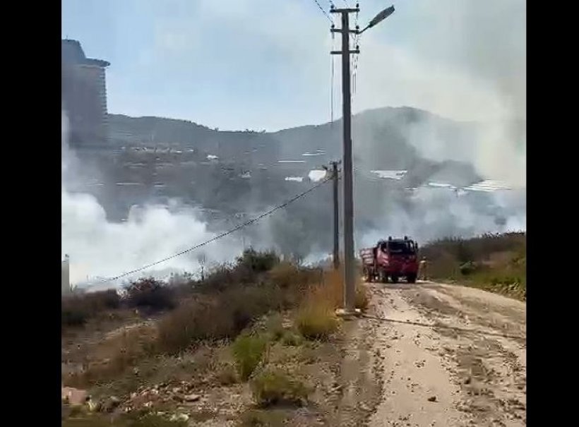 Alanya Kargıcak'ta korkutan yangın