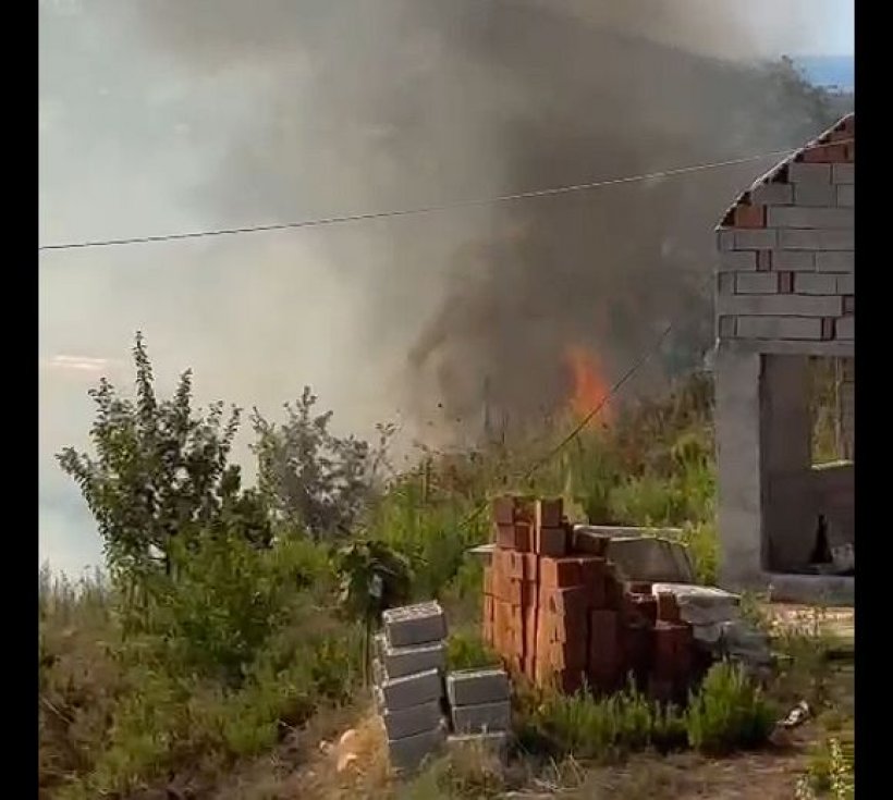 Alanya Kargıcak'ta korkutan yangın