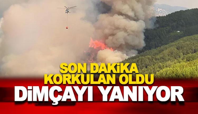 Son dakika: Alanya'da büyük yangını: Kızılçam ormanları yanıyor