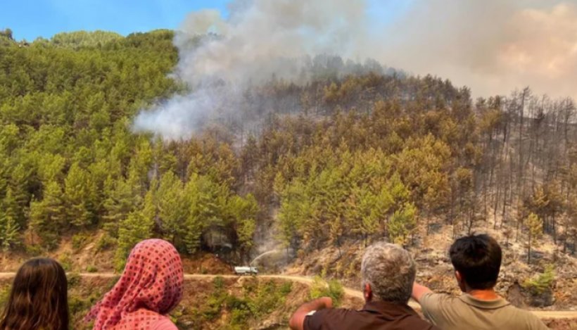 Son dakika: Alanya'da büyük yangını: Kızılçam ormanları yanıyor