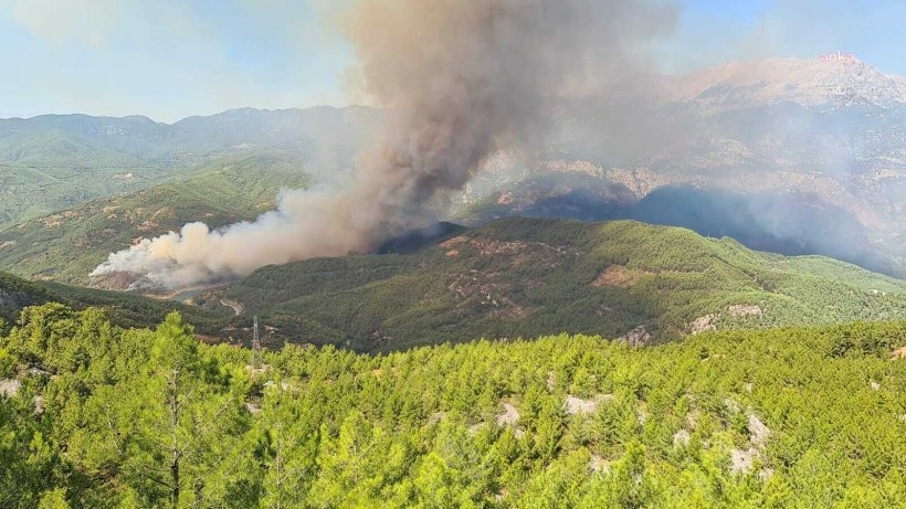 Son dakika: Alanya'da büyük yangını: Kızılçam ormanları yanıyor