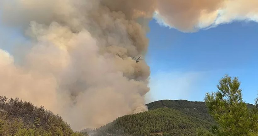 Son dakika: Alanya'da büyük yangını: Kızılçam ormanları yanıyor