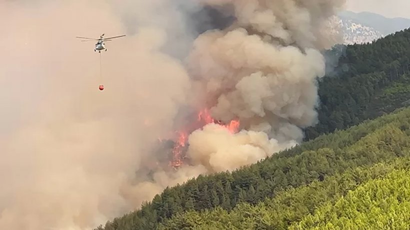 Son dakika: Alanya'da büyük yangını: Kızılçam ormanları yanıyor