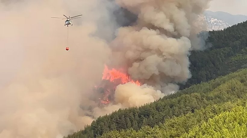 Son dakika: Alanya'da büyük yangını: Kızılçam ormanları yanıyor