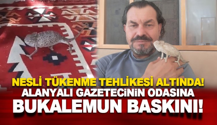 Akdeniz Bukalemunu Alanyalı gazetecinin odasını bastı!