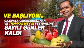 Gazipaşa'da Çekirdeksiz Nar ve Tropikal Meyve Festivali için geri sayım başladı