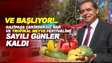 Gazipaşa'da Çekirdeksiz Nar ve Tropikal Meyve Festivali için geri sayım başladı