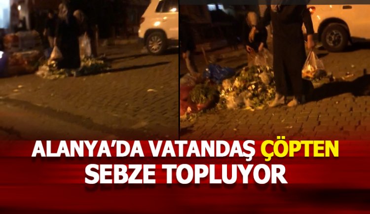 Alanya'da çöpten sebze toplayan kadınlar yürek burktu