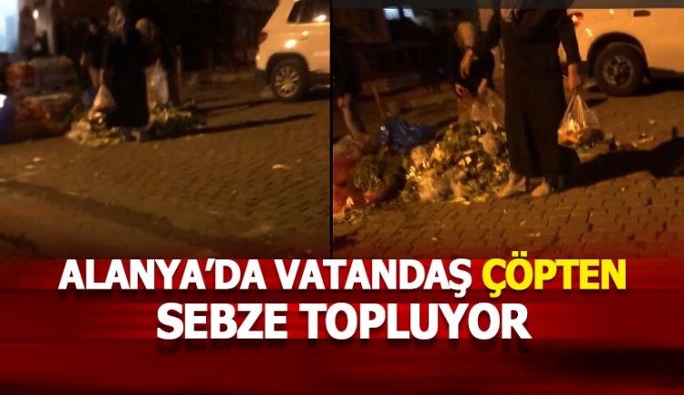 Alanya'da çöpten sebze toplayan kadınlar yürek burktu