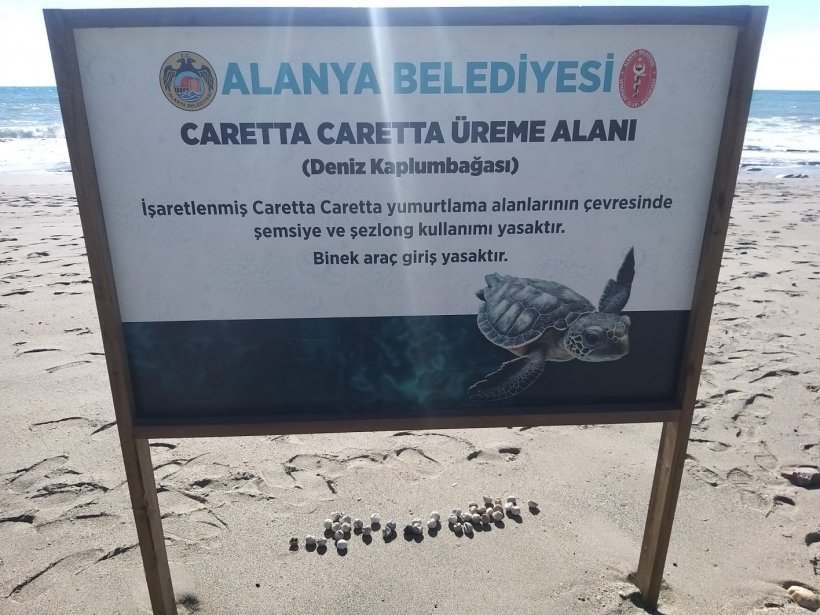 Fırtına bir İnsanlık utancını ortaya çıkardı