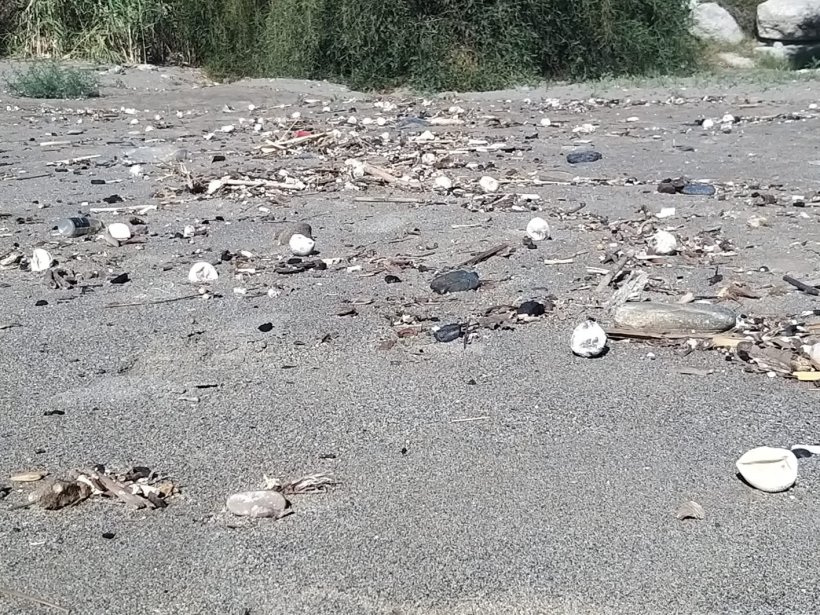 Fırtına bir İnsanlık utancını ortaya çıkardı