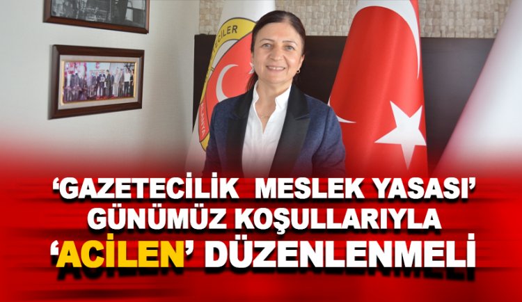 AGC Başkanı Coşkun: Gazetecilik Meslek Yasası acilen düzenlenmeli