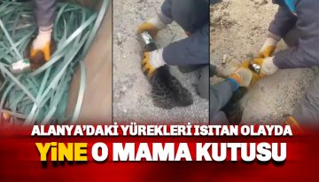 O mama kutusu yine bir cana mal oluyordu