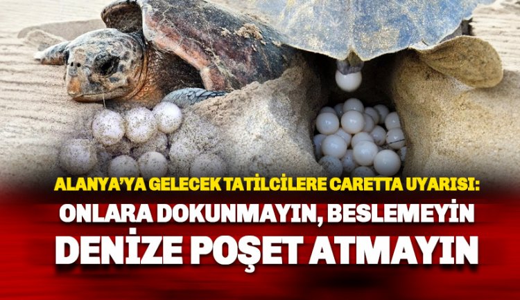 Tatilcilere uyarı: Carettalara dokunmayın, beslemeyin denize poşet atmayın