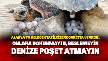 Tatilcilere uyarı: Carettalara dokunmayın, beslemeyin denize poşet atmayın