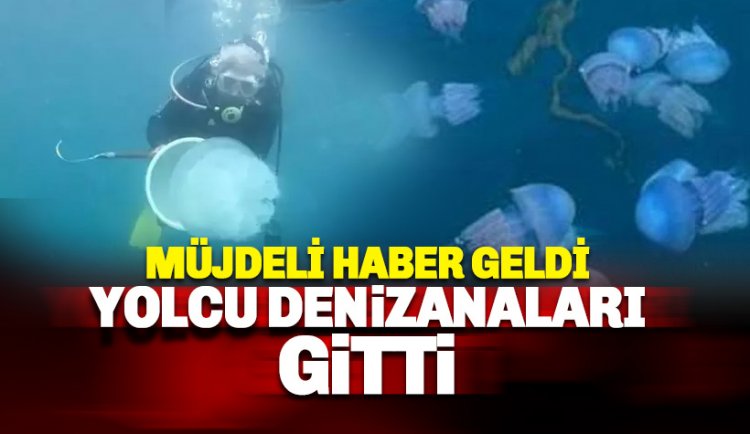 Müjdeli haber geldi; Denizanaları geçişi tamamlandı