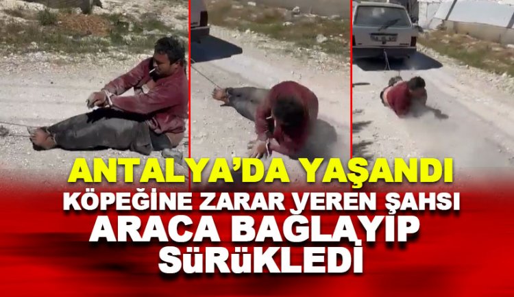 Köpeğini sürükleyen şahsı aracına bağlayıp sürükledi
