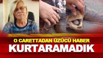 ALÇED Başkanı Kayhan'dan Başkan Özçelik'e 'Caretta-caretta' çağrısı