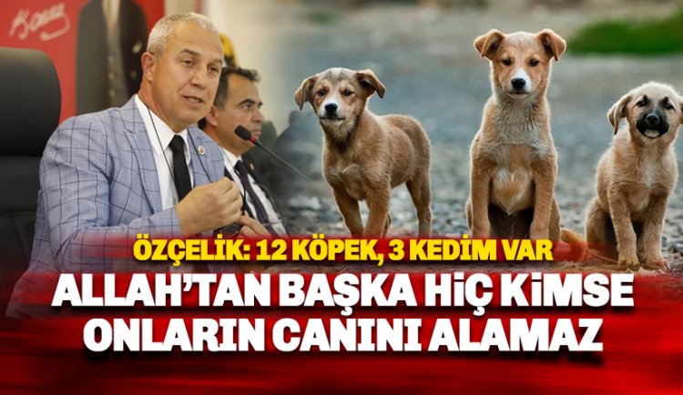 Başkan Özçelik: 12 köpek, 3 kedim var. Allah'tan başka kimse onların canını alamaz