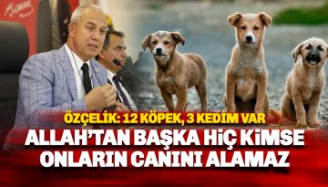 Başkan Özçelik: 12 köpek, 3 kedim var. Allah'tan başkan kimse onların canını alamaz