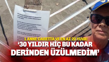 Caretta'yı ezip 20 yuvaya zarar verdiler: 30 yıldır böyle rezalet görmedim: