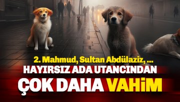 Sahipsiz hayvanlara yönelik teklifte 4 madde daha kabul edildi