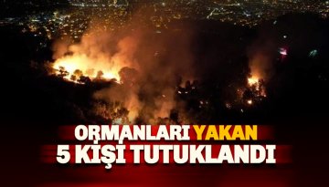Ormanları yakan 5 kişi tutuklandı
