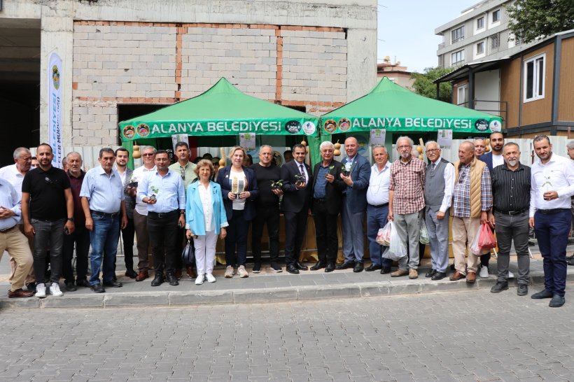 Alanya'da ücretsiz su kabağı fidesi dağıtılacak